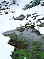 Rivi�re sous neige