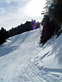 Au milieu des pistes