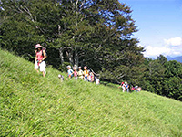 enfant-foret-montagne